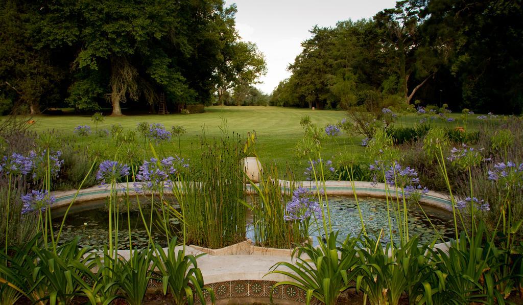 Estancia Monte Viejo บรันด์ซิน ภายนอก รูปภาพ