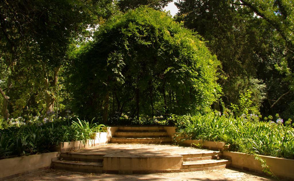 Estancia Monte Viejo บรันด์ซิน ภายนอก รูปภาพ