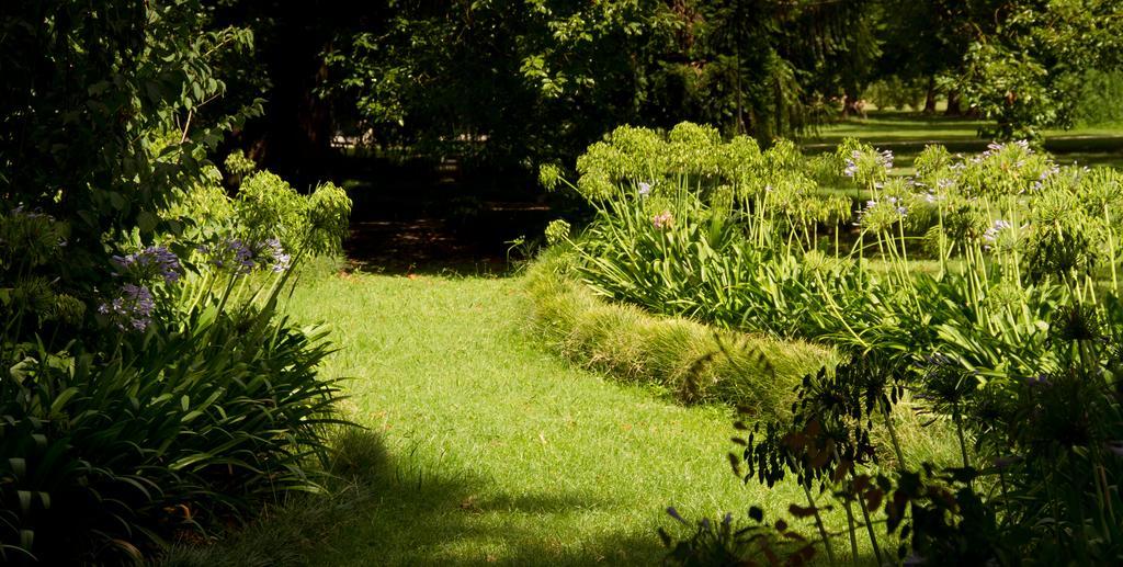 Estancia Monte Viejo บรันด์ซิน ภายนอก รูปภาพ